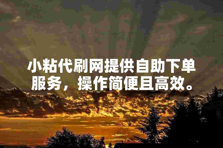 小粘代刷网提供自助下单服务，操作简便且高效。