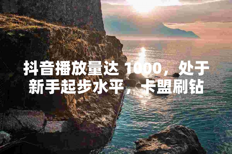 抖音播放量达 1000，处于新手起步水平，卡盟刷钻属违规行为别尝试。