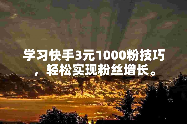 学习快手3元1000粉技巧，轻松实现粉丝增长。