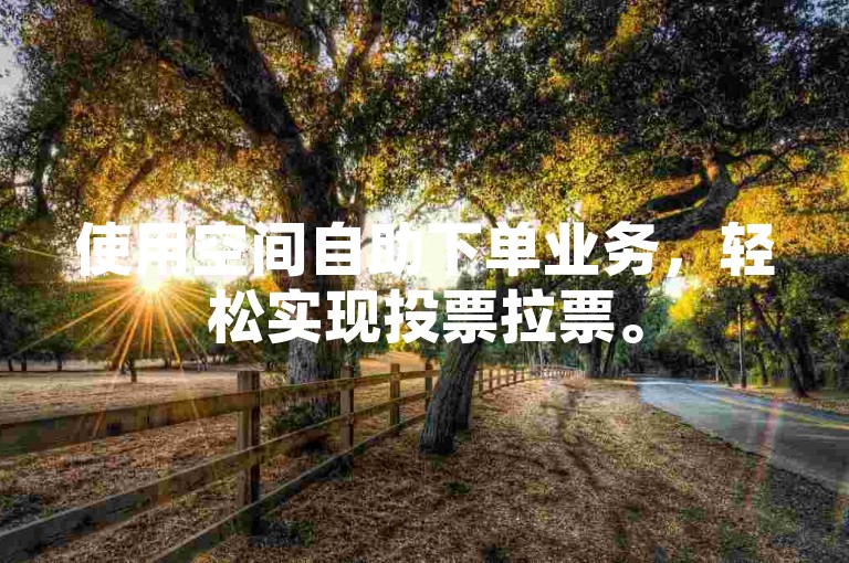 使用空间自助下单业务，轻松实现投票拉票。