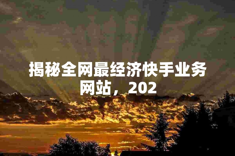 揭秘全网最经济快手业务网站，2025年必备学习攻略！