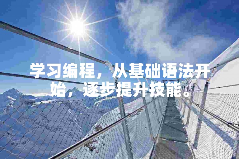 学习编程，从基础语法开始，逐步提升技能。