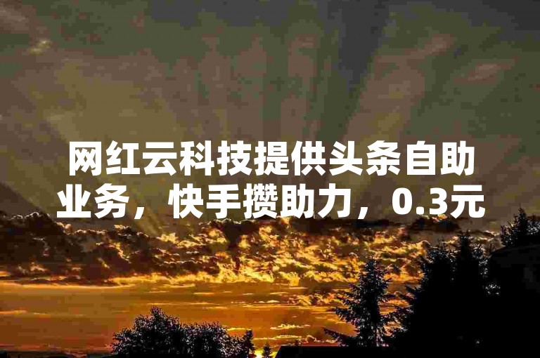 网红云科技提供头条自助业务，快手攒助力，0.3元可获10000攒。