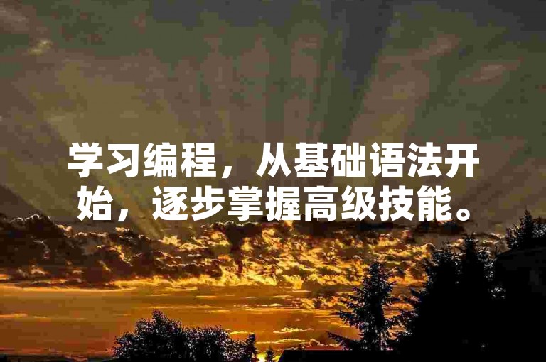 学习编程，从基础语法开始，逐步掌握高级技能。