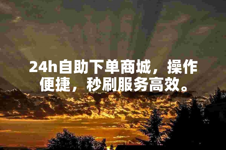 24h自助下单商城，操作便捷，秒刷服务高效。