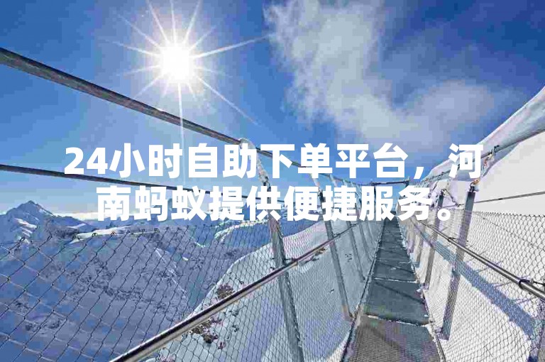24小时自助下单平台，河南蚂蚁提供便捷服务。
