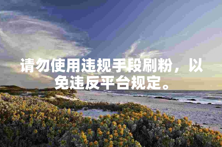 请勿使用违规手段刷粉，以免违反平台规定。