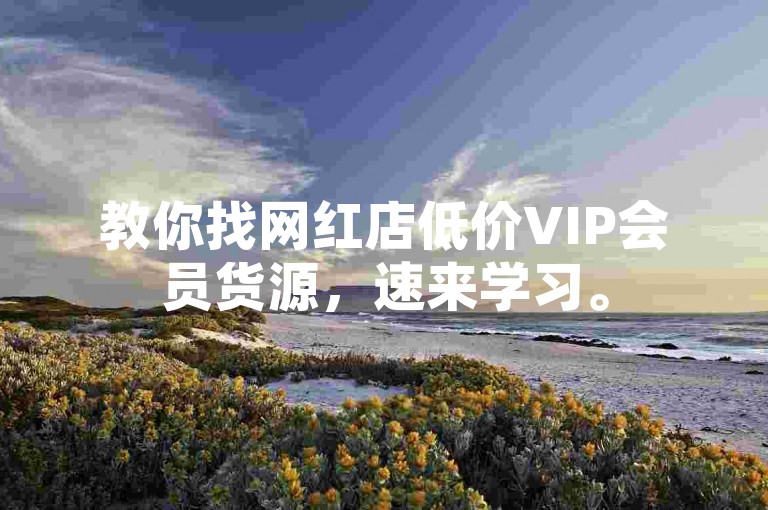 教你找网红店低价VIP会员货源，速来学习。