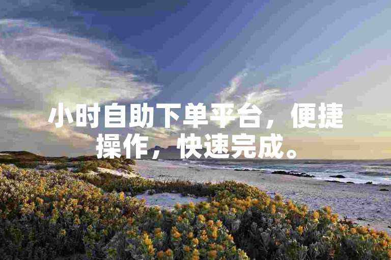 小时自助下单平台，便捷操作，快速完成。