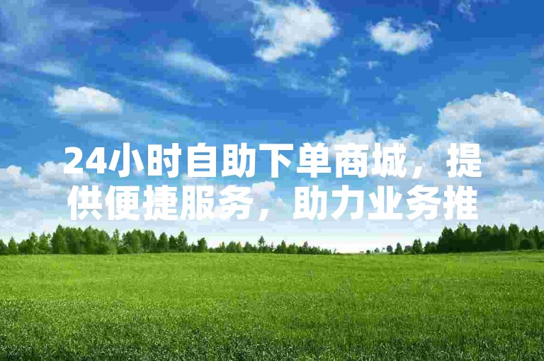 24小时自助下单商城，提供便捷服务，助力业务推广。