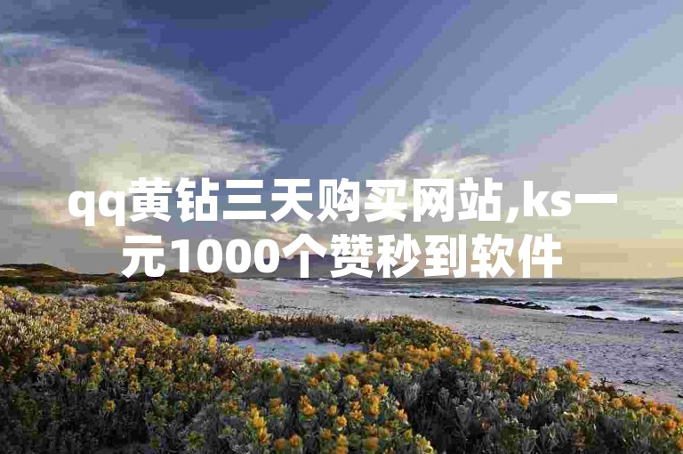 qq黄钻三天购买网站,ks一元1000个赞秒到软件