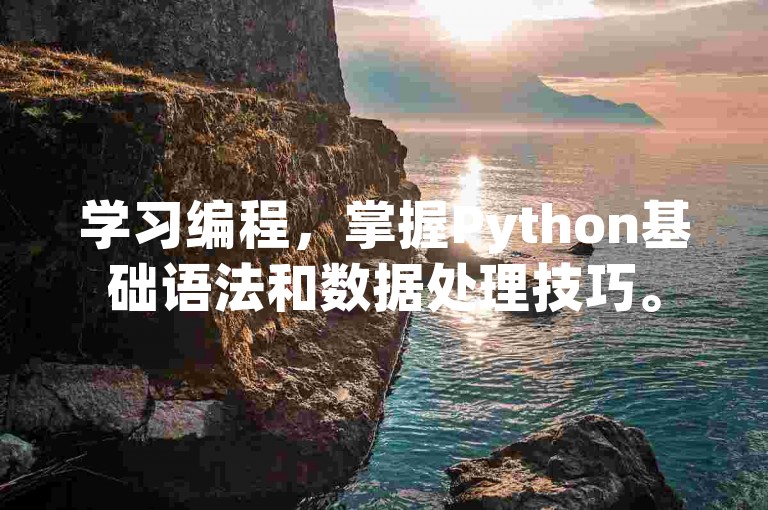 学习编程，掌握Python基础语法和数据处理技巧。