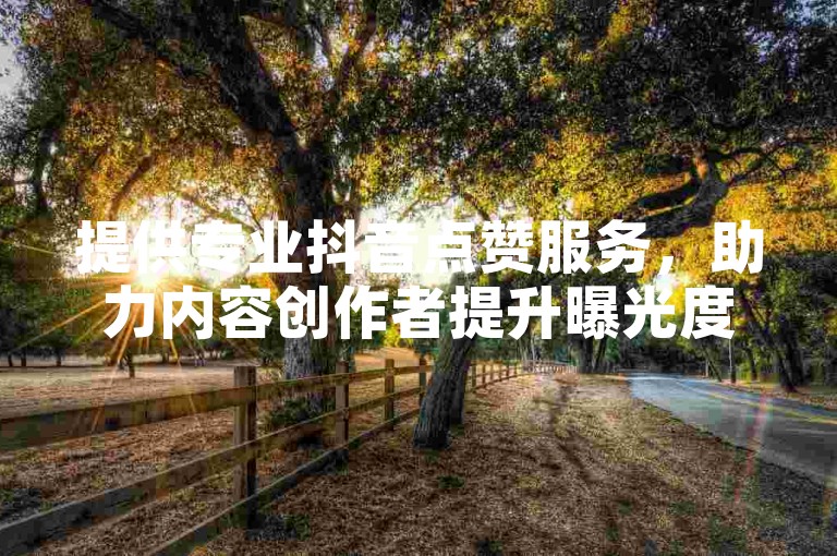 提供专业抖音点赞服务，助力内容创作者提升曝光度。