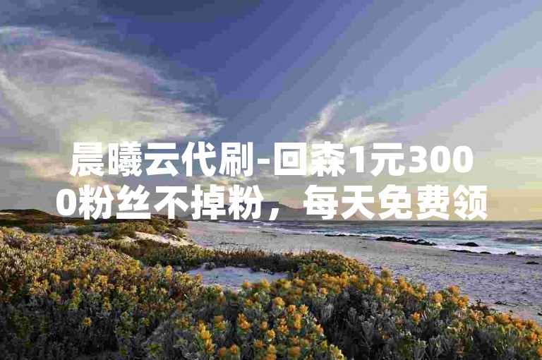 晨曦云代刷-回森1元3000粉丝不掉粉，每天免费领空间说说赞。