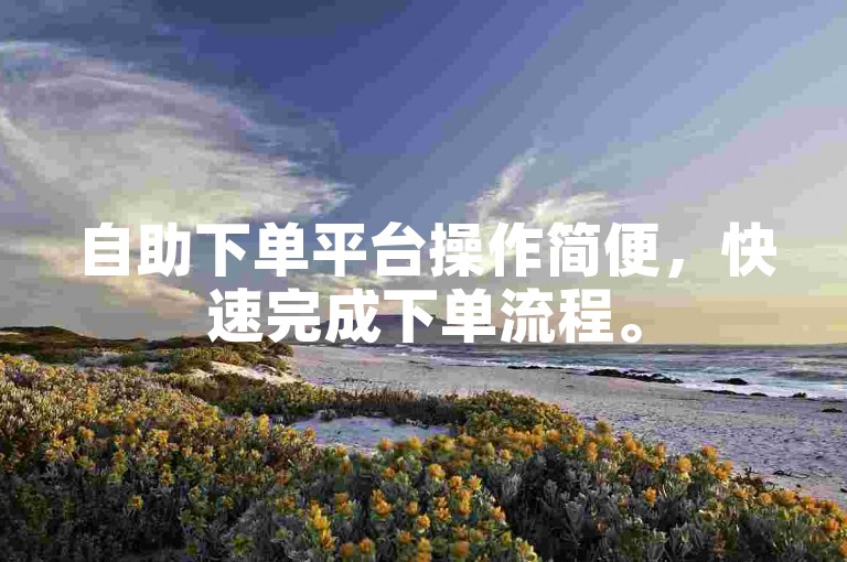 自助下单平台操作简便，快速完成下单流程。