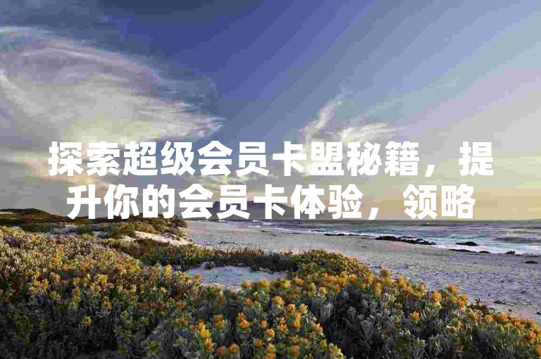 探索超级会员卡盟秘籍，提升你的会员卡体验，领略其独特魅力！2025必备技巧。