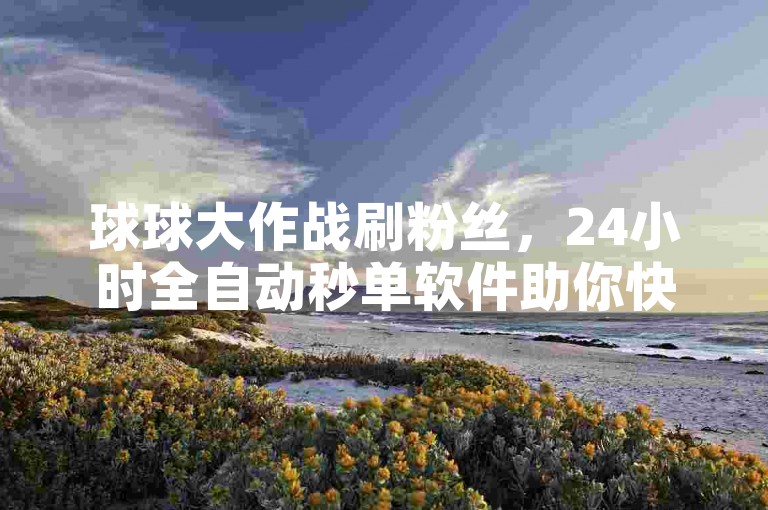 球球大作战刷粉丝，24小时全自动秒单软件助你快速涨粉。
