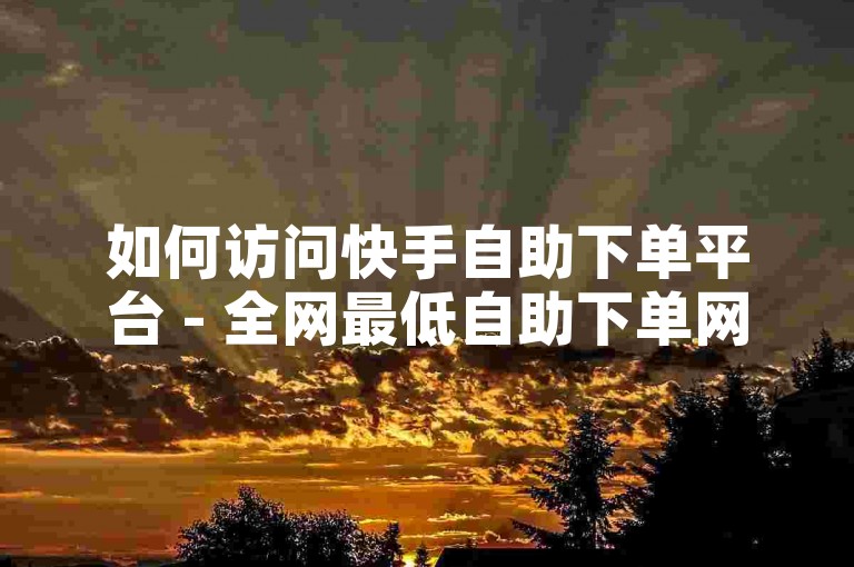如何访问快手自助下单平台 - 全网最低自助下单网站教程。