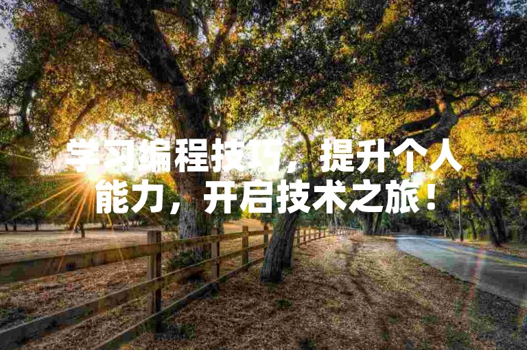 学习编程技巧，提升个人能力，开启技术之旅！