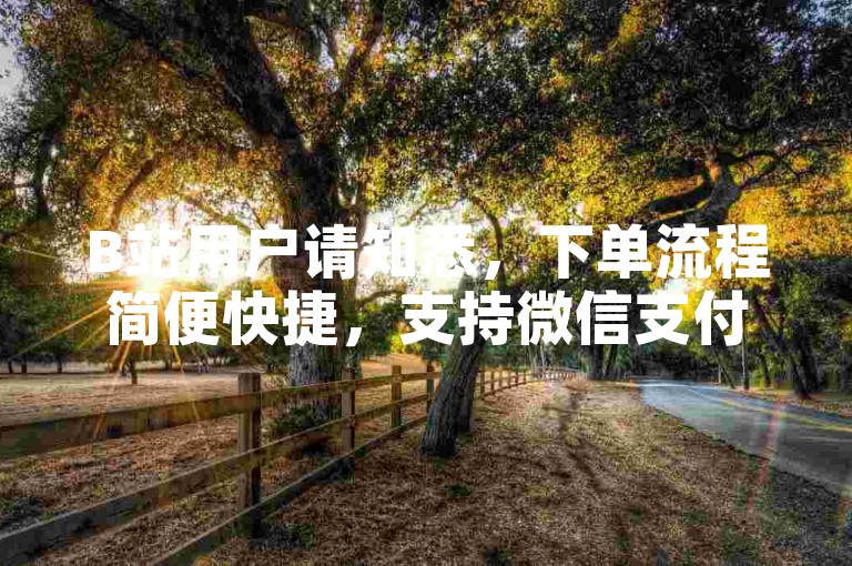 B站用户请知悉，下单流程简便快捷，支持微信支付。