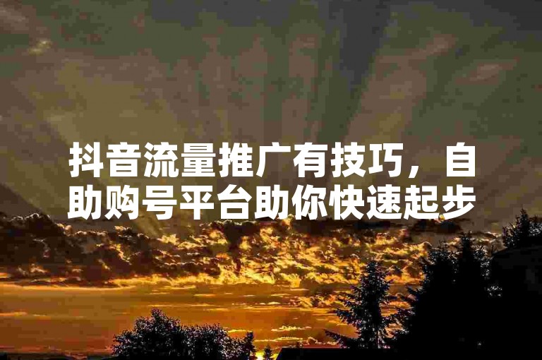 抖音流量推广有技巧，自助购号平台助你快速起步。