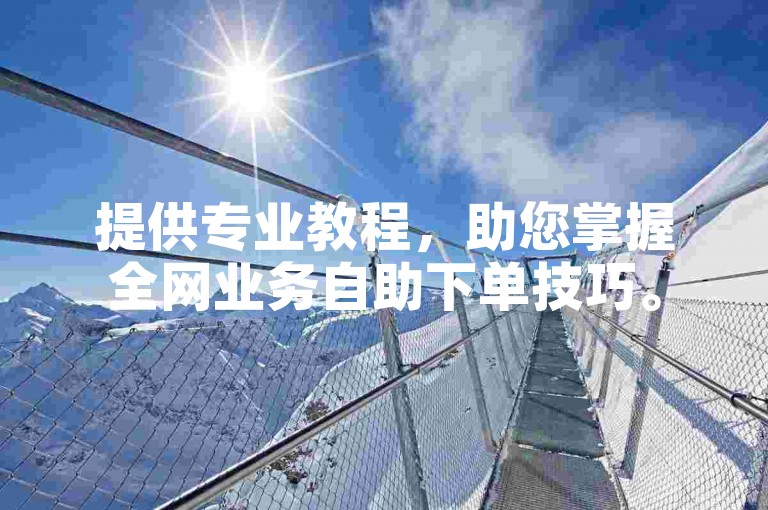 提供专业教程，助您掌握全网业务自助下单技巧。