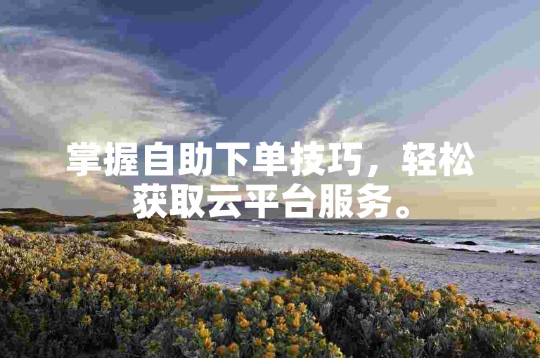 掌握自助下单技巧，轻松获取云平台服务。
