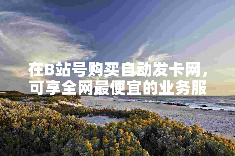 在B站号购买自动发卡网，可享全网最便宜的业务服务。