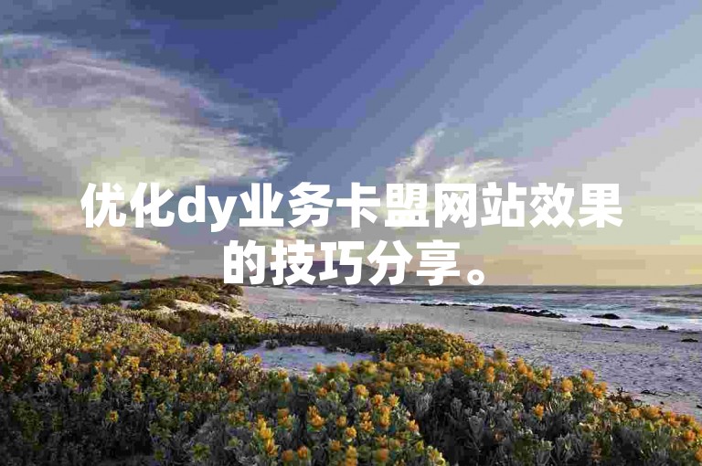 优化dy业务卡盟网站效果的技巧分享。