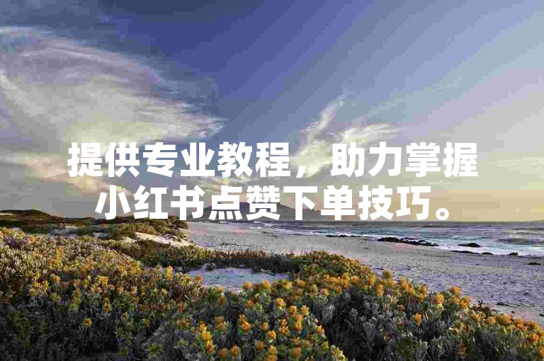 提供专业教程，助力掌握小红书点赞下单技巧。