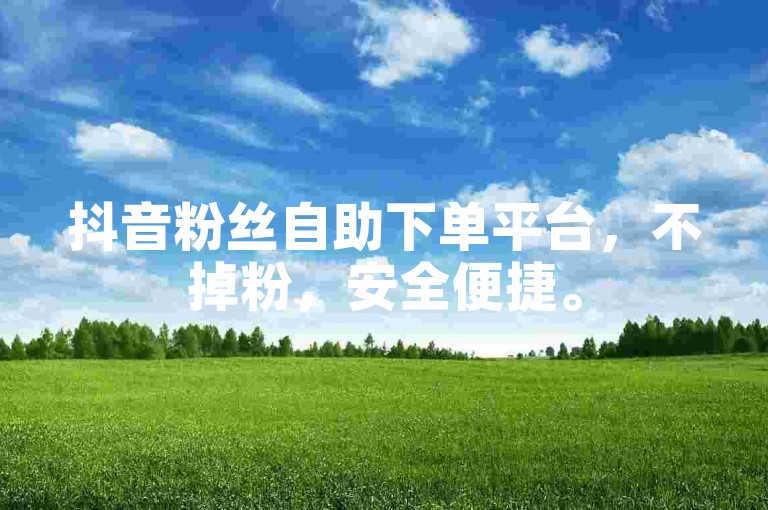 抖音粉丝自助下单平台，不掉粉，安全便捷。