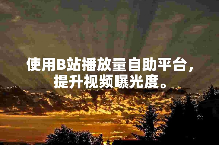 使用B站播放量自助平台，提升视频曝光度。