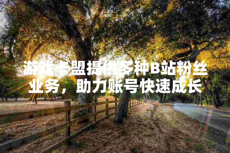 游戏卡盟提供多种B站粉丝业务，助力账号快速成长。
