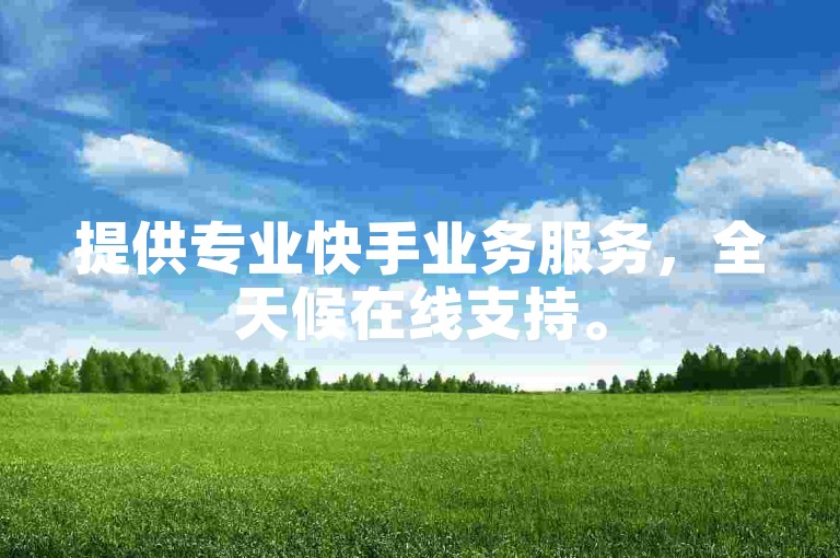 提供专业快手业务服务，全天候在线支持。