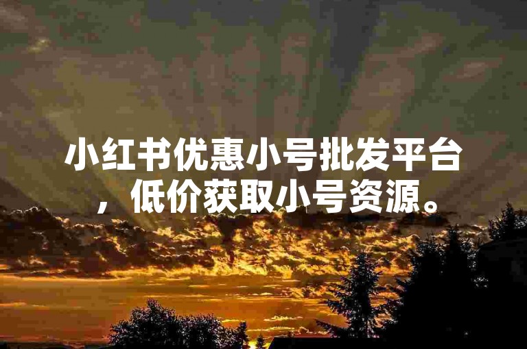 小红书优惠小号批发平台，低价获取小号资源。