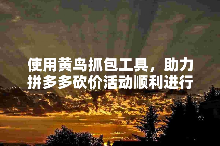 使用黄鸟抓包工具，助力拼多多砍价活动顺利进行。