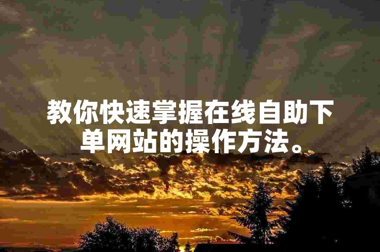 教你快速掌握在线自助下单网站的操作方法。