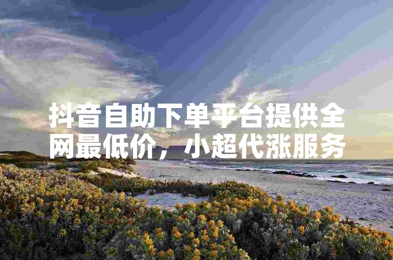 抖音自助下单平台提供全网最低价，小超代涨服务快手业务。