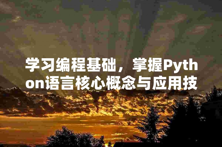 学习编程基础，掌握Python语言核心概念与应用技巧。