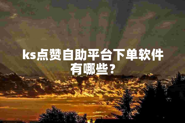 ks点赞自助平台下单软件有哪些？