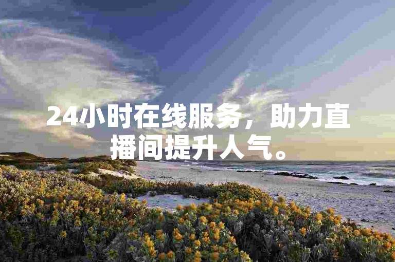 24小时在线服务，助力直播间提升人气。