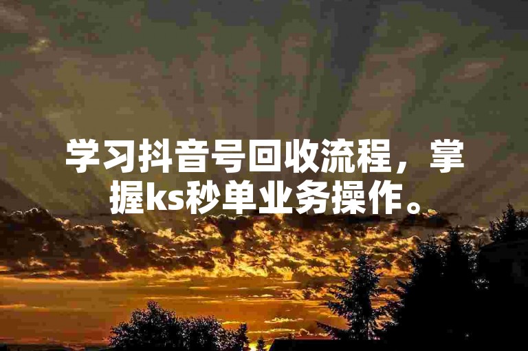 学习抖音号回收流程，掌握ks秒单业务操作。