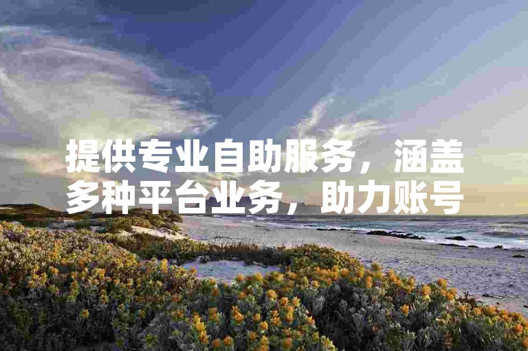 提供专业自助服务，涵盖多种平台业务，助力账号快速成长。