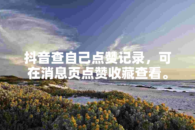 抖音查自己点赞记录，可在消息页点赞收藏查看。