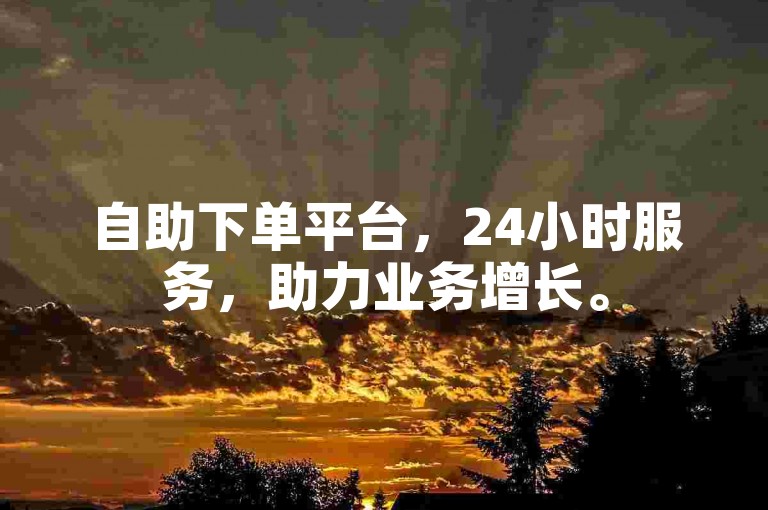 自助下单平台，24小时服务，助力业务增长。