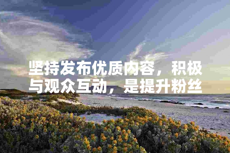 坚持发布优质内容，积极与观众互动，是提升粉丝量的有效途径。