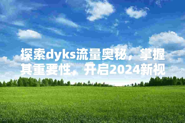 探索dyks流量奥秘，掌握其重要性，开启2024新视野！