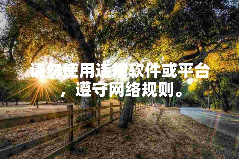请勿使用违规软件或平台，遵守网络规则。