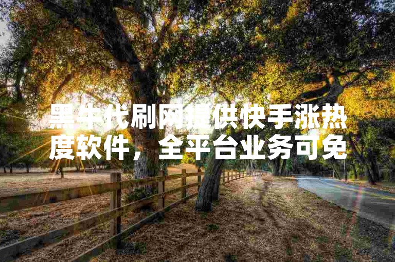黑牛代刷网提供快手涨热度软件，全平台业务可免费下。