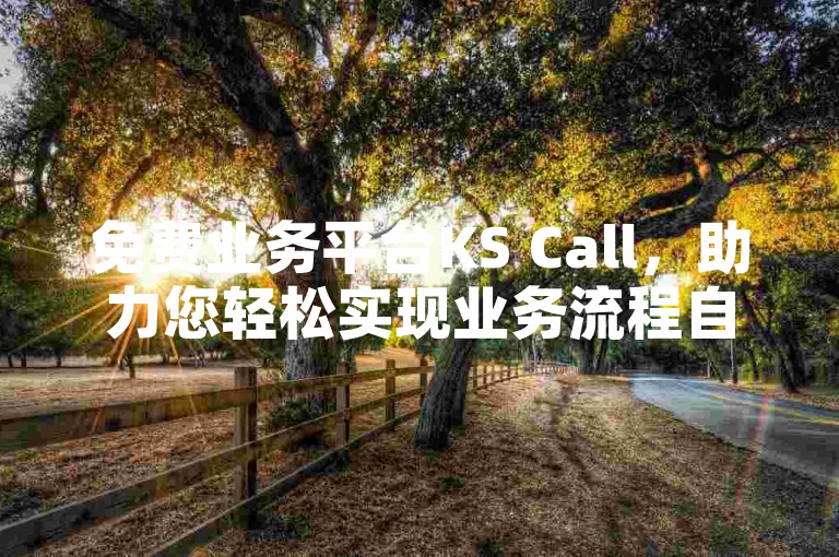 免费业务平台KS Call，助力您轻松实现业务流程自动化。